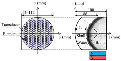 The Influence of Transcranial Magnetoacoustic Stimulation Parameters on the Basal Ganglia-Thalamus Neural Network in Parkinson’s Disease